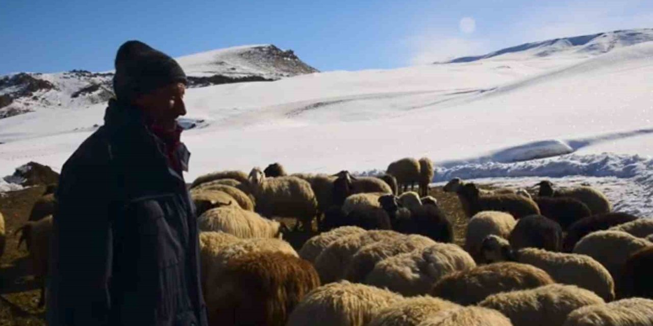 Besicilerin kış çilesi