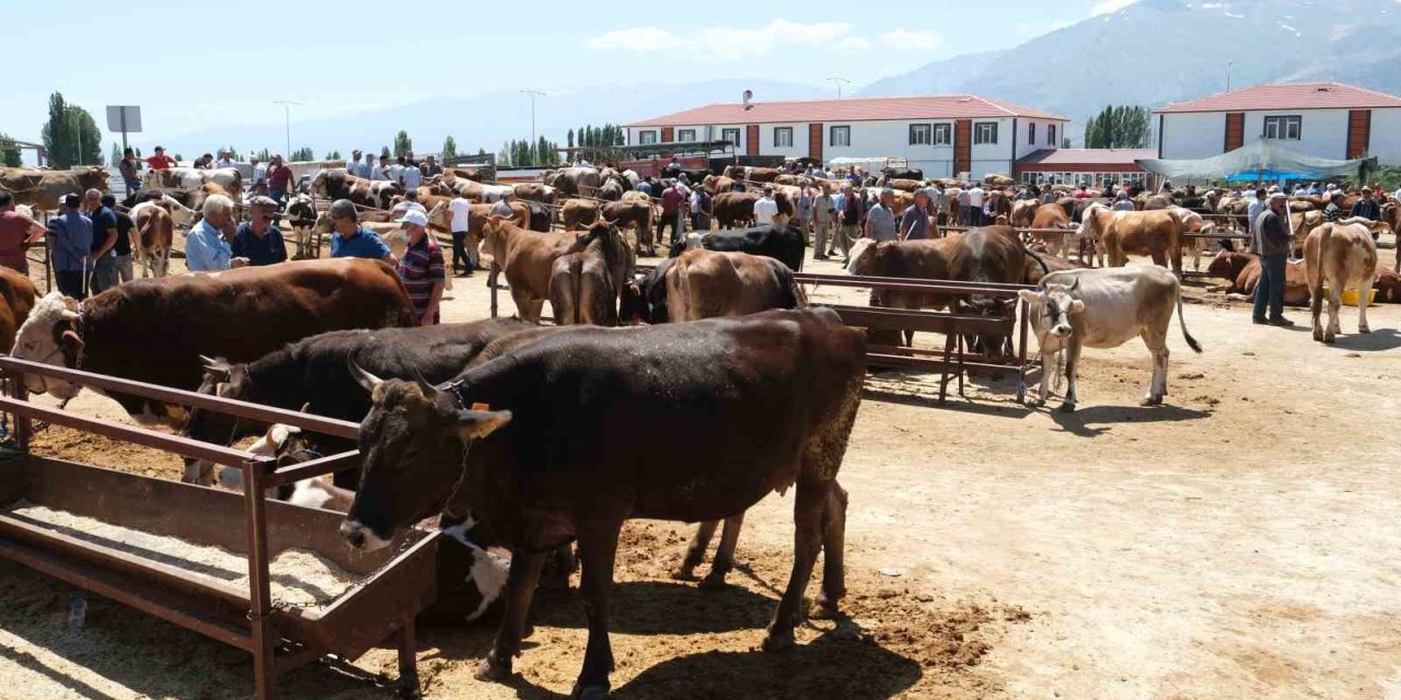 Erzincan’daki hayvan pazarında şap karantinası