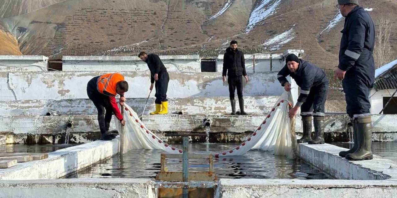 Erzincan Türkiye’nin en büyük Avrupa’nın ise sayılı su ürünleri tesisleri arasında yer alacak