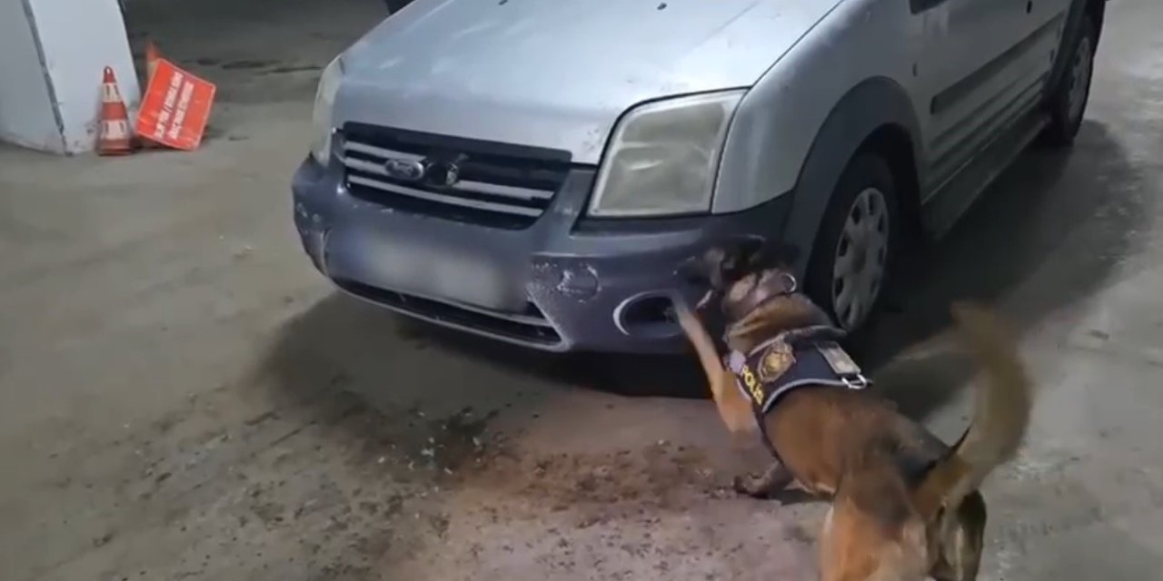 Kars’ta uyuşturucu narkotik köpeği Şila’ya takıldı