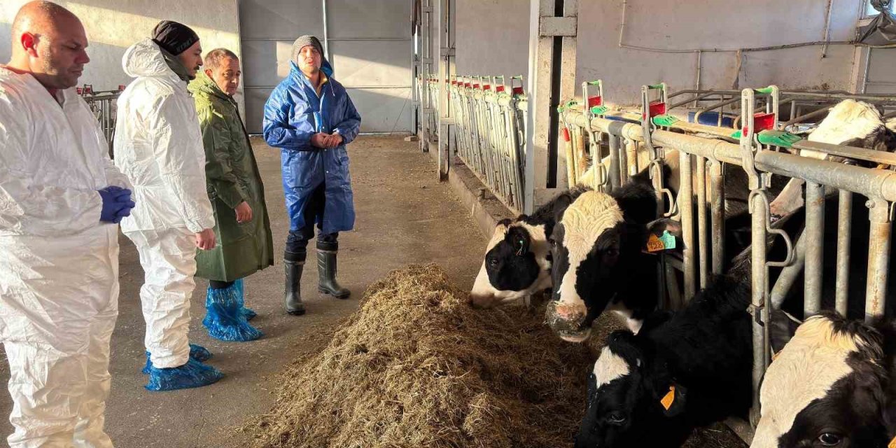 Erzincan’da 3 işletme ari işletme olmak için başvuru yaptı