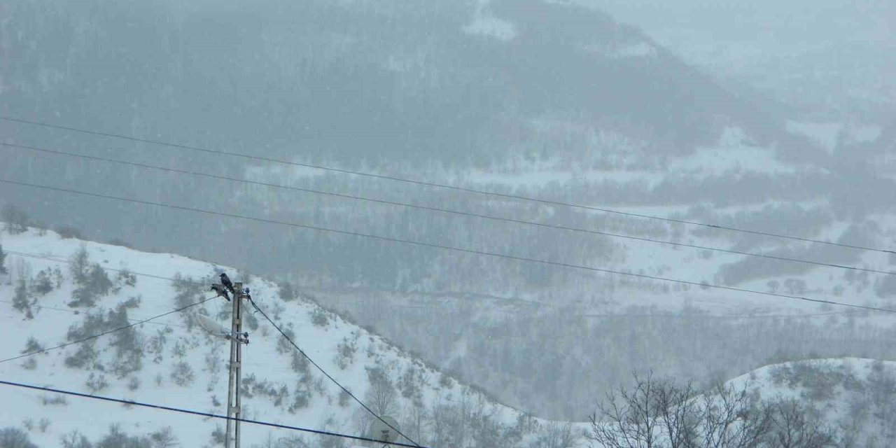 Posof güne karla uyandı