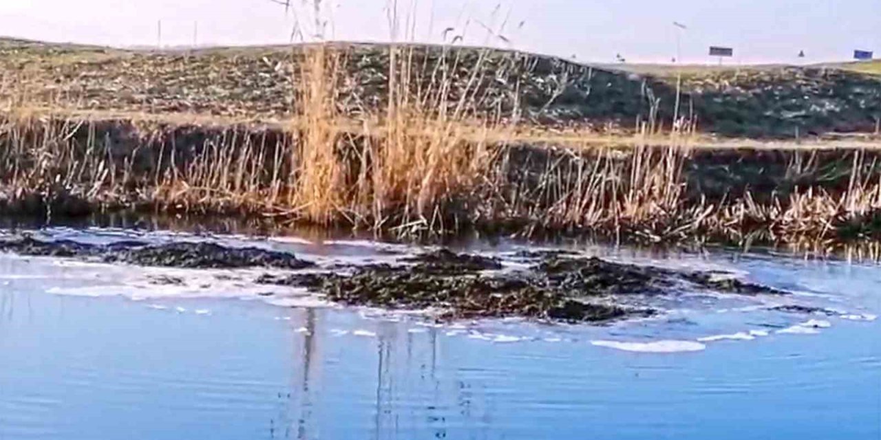 Yer altında fışkıran toprak görenleri hayrete düşürdü