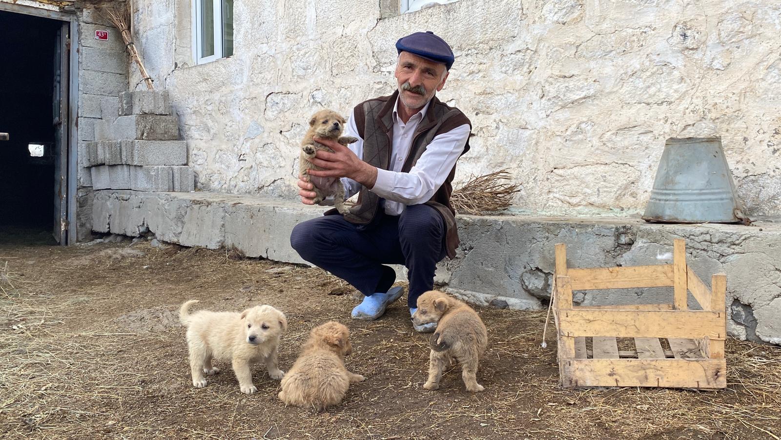 Mutluluğun fotoğrafı