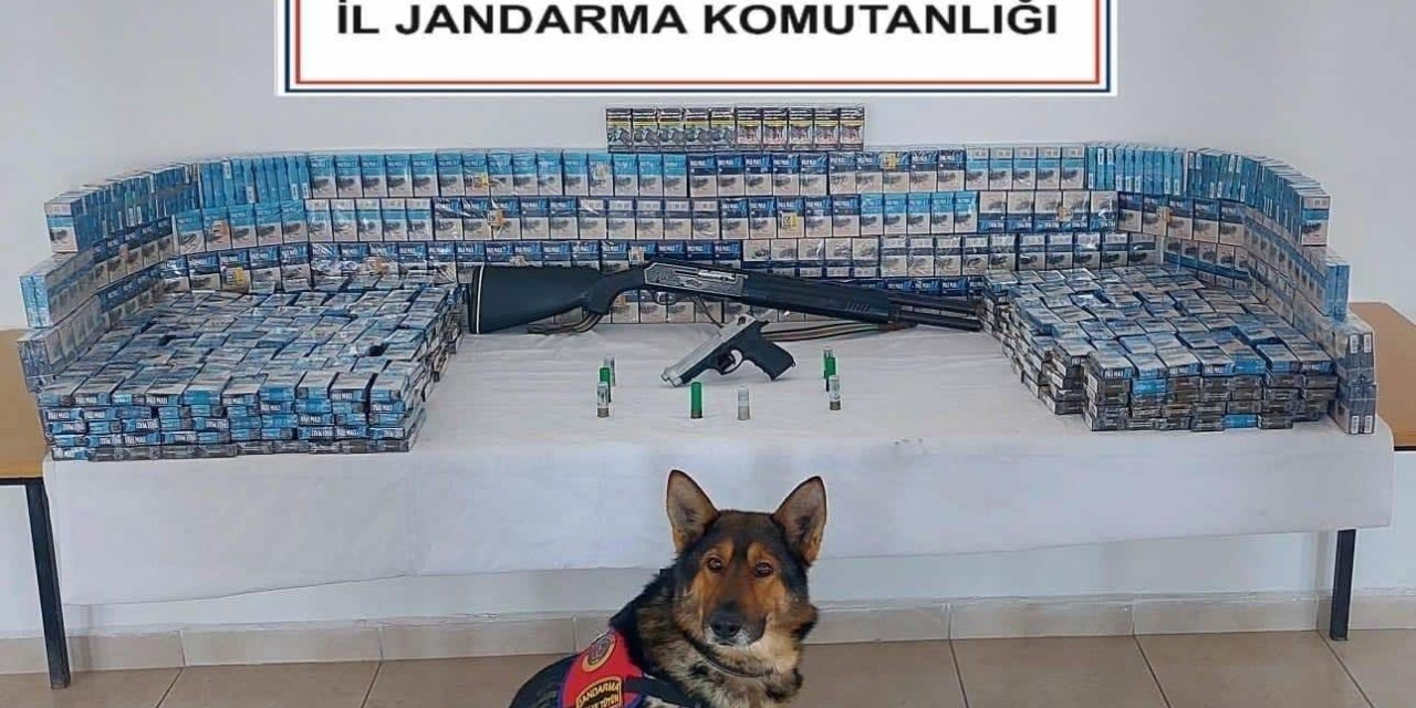 Jandarmadan kaçak sigara operasyonu
