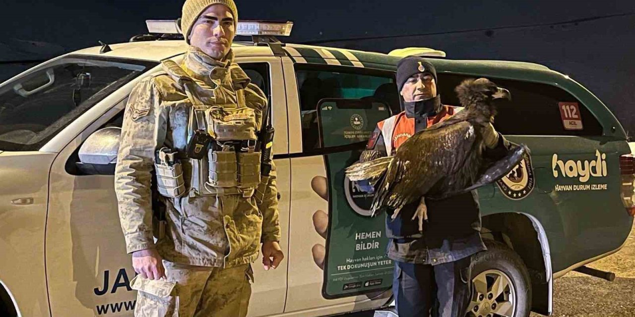 Akbabaya jandarma şefkati