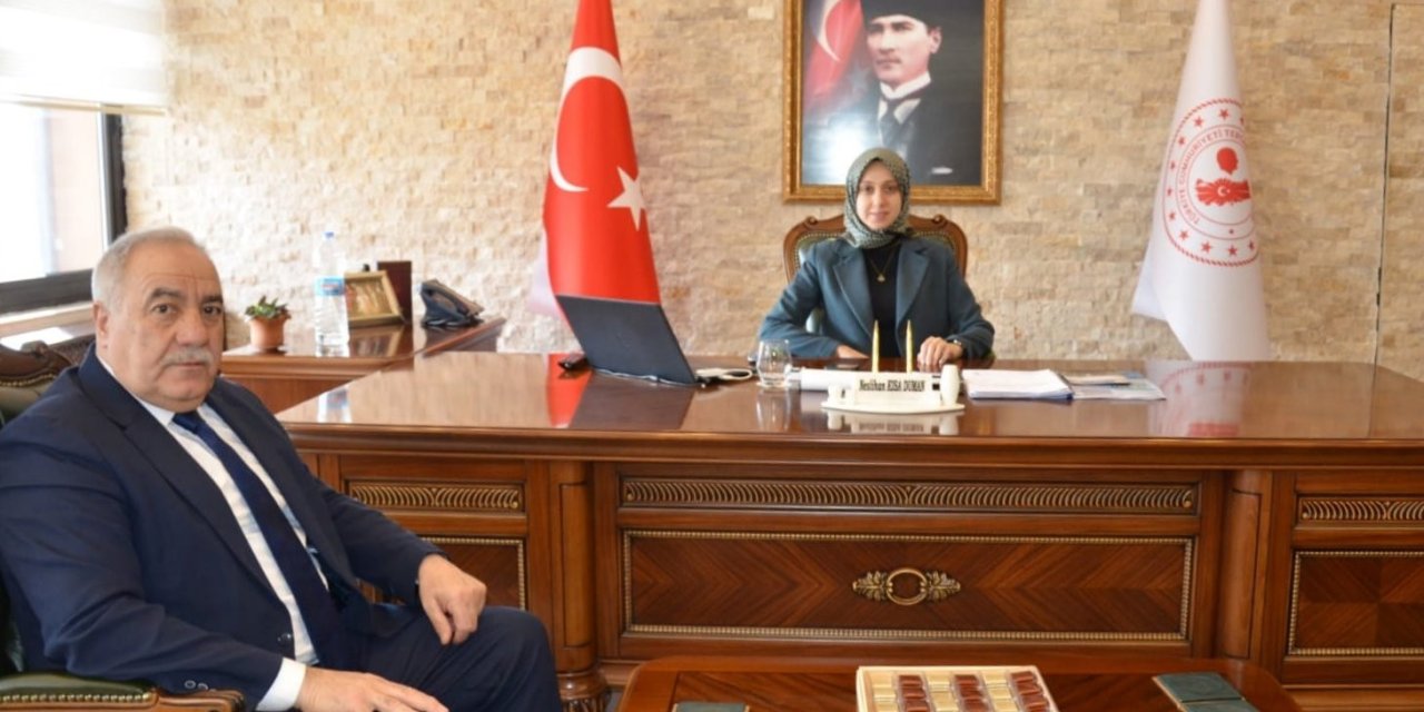 Tercan’da kurtuluş hazırlıkları devam ediyor