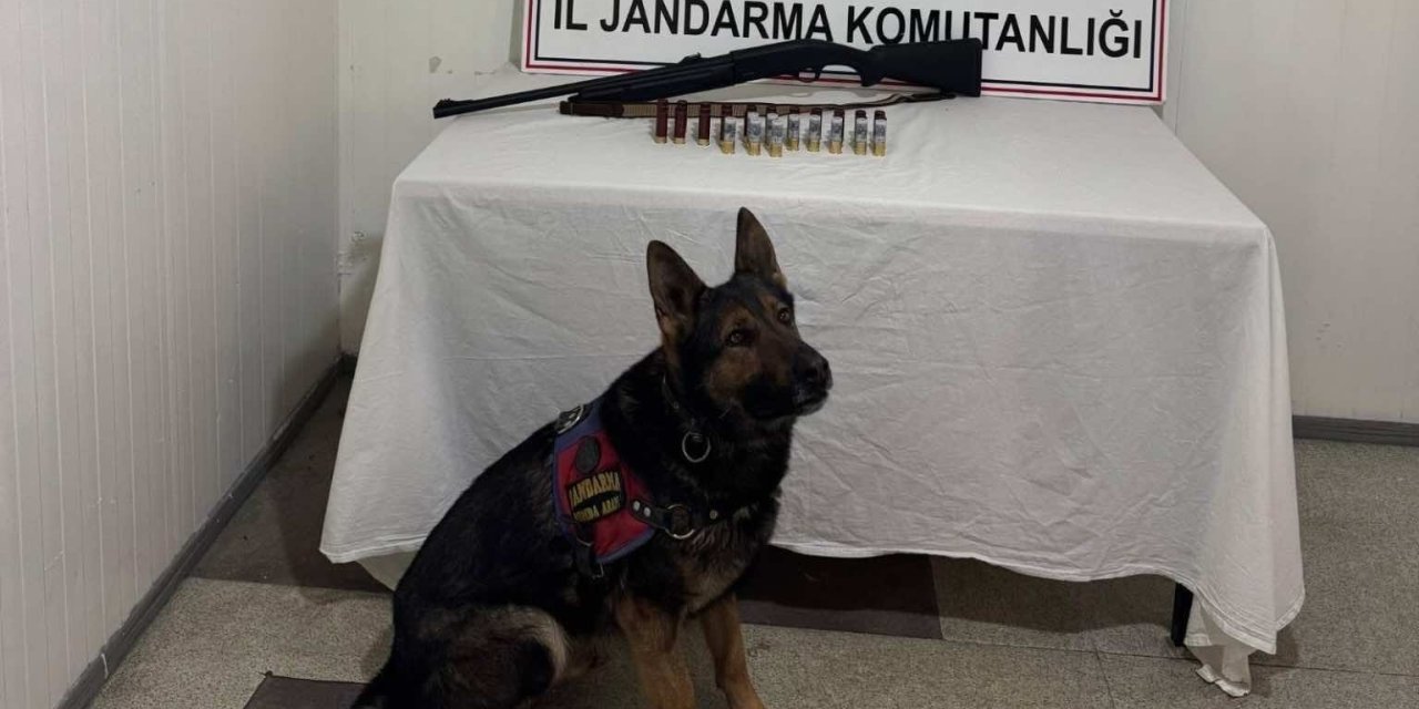 Bingöl’de 8 şüpheli yakalandı