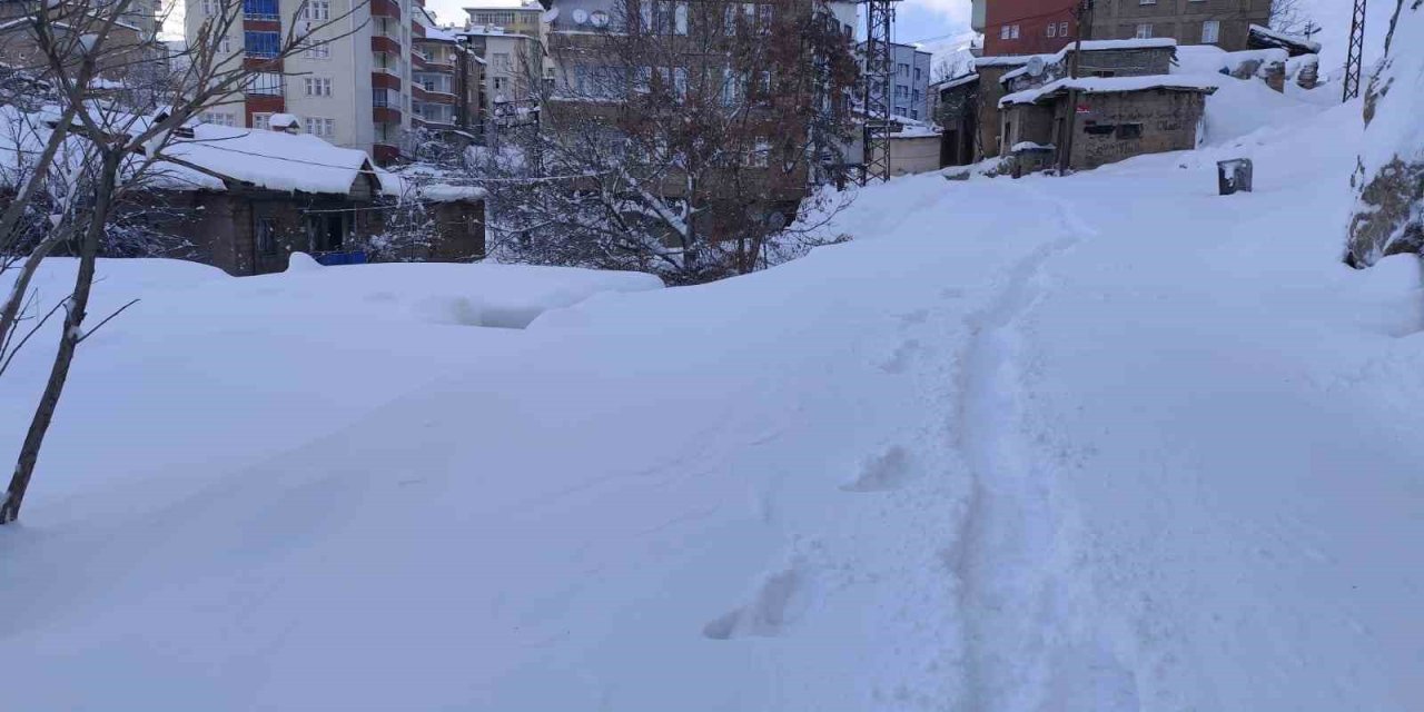Hakkari’de 18 köy ve 64 mezra yolu ulaşıma kapandı
