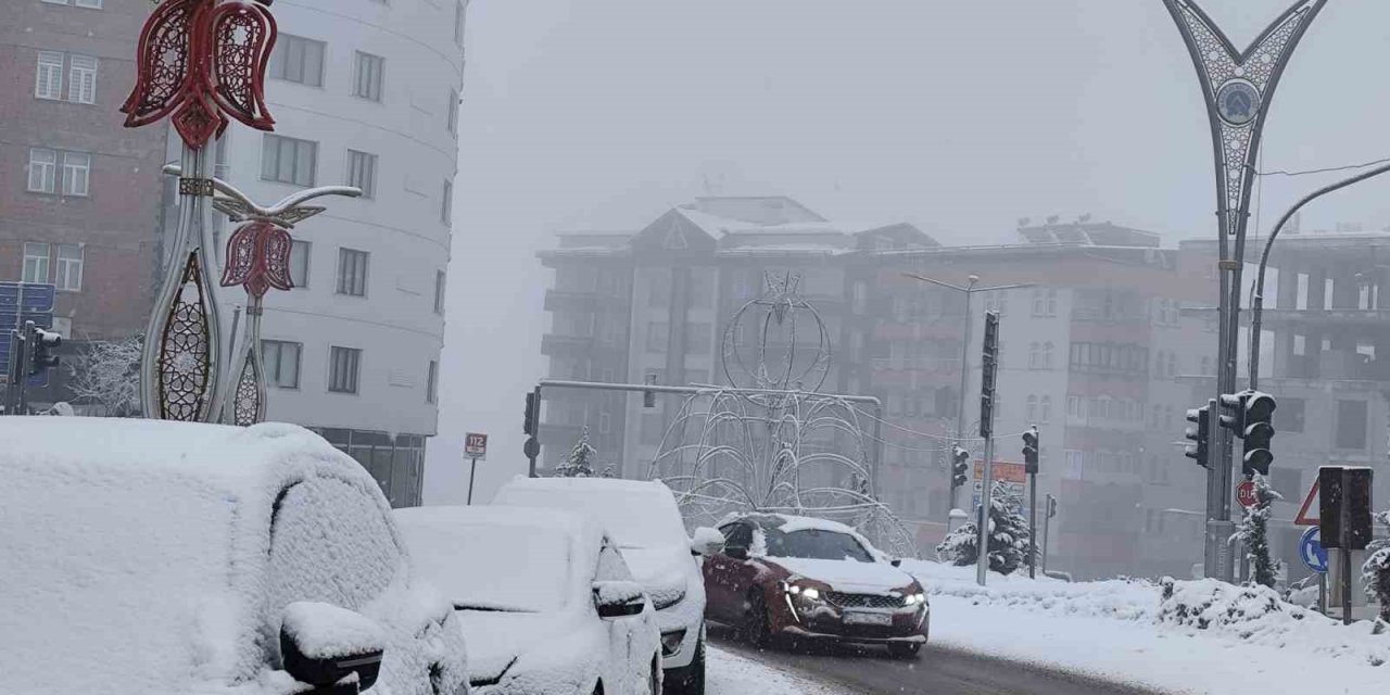 Hakkari’de kar ve sis etkili oluyor