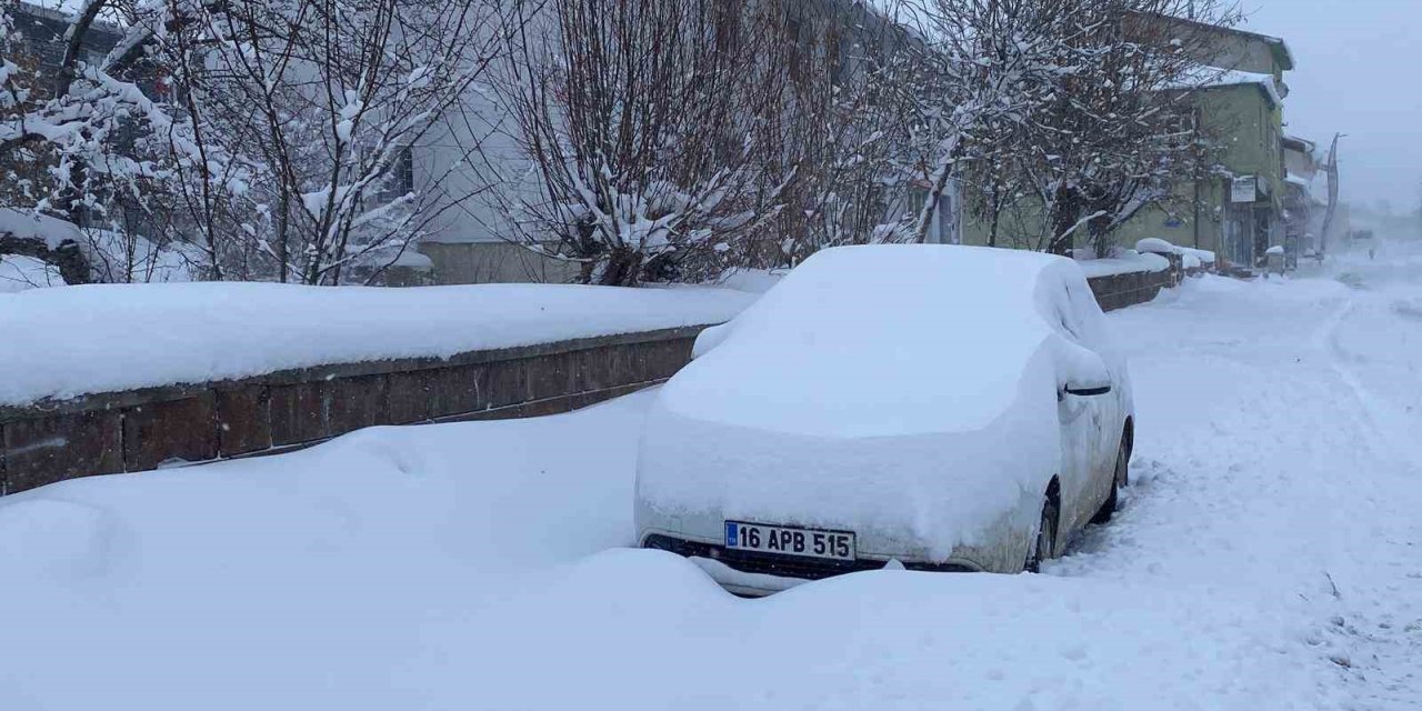 Karlıova’da kar hayatı olumsuz etkiledi, 47 köy yolu ulaşıma kapandı