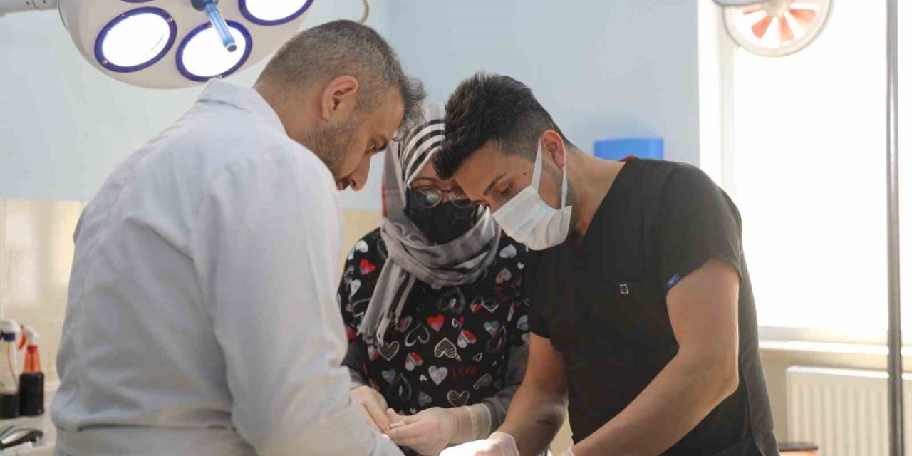 5 bacaklı dünyaya gelen kuzunun bir ayağı başarılı bir ameliyat ile alındı