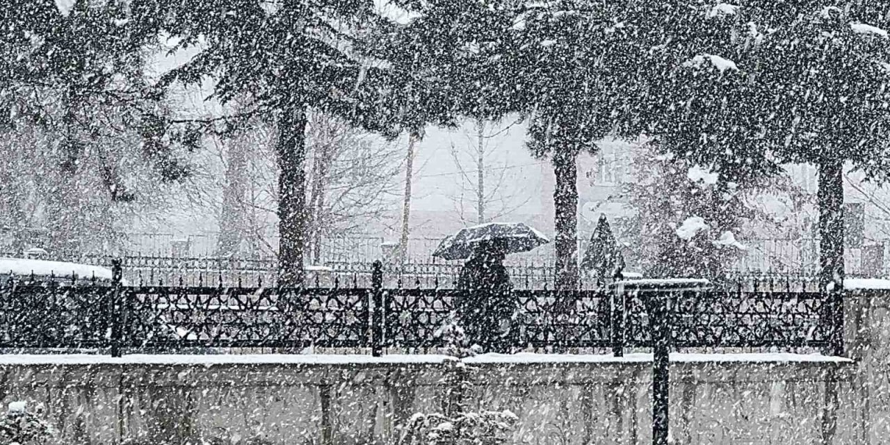 Tatvan’da kar yağışı