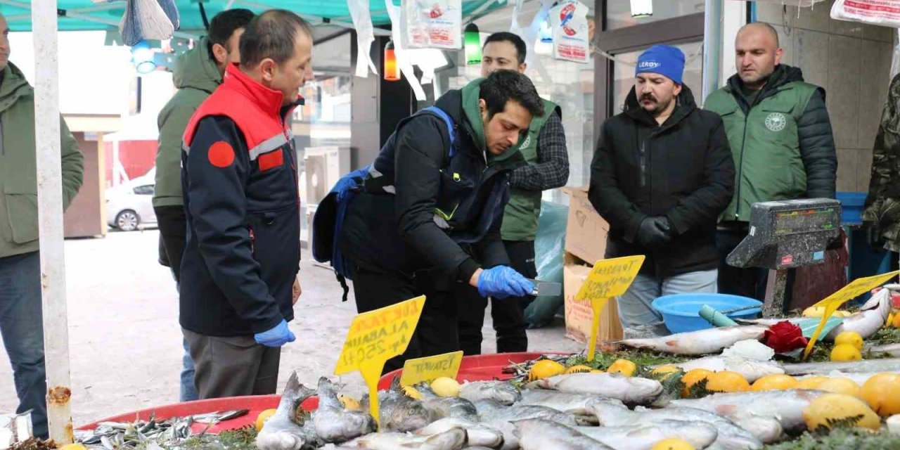 Erzincan’da balık denetimi gerçekleştirildi