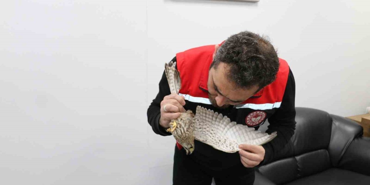 Erzincan’da ekipler, kerkenez için seferber oldu