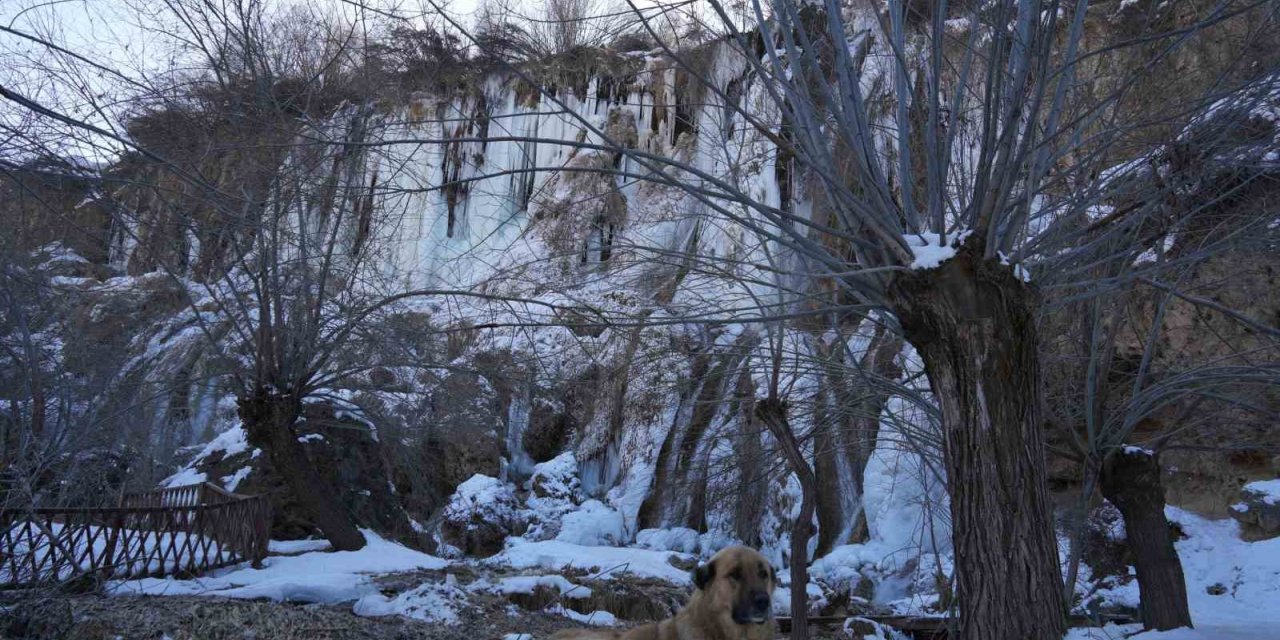 Buz tutan Girlevik Şelalesi’nde 2 metrelik buz sarkıtları oluştu