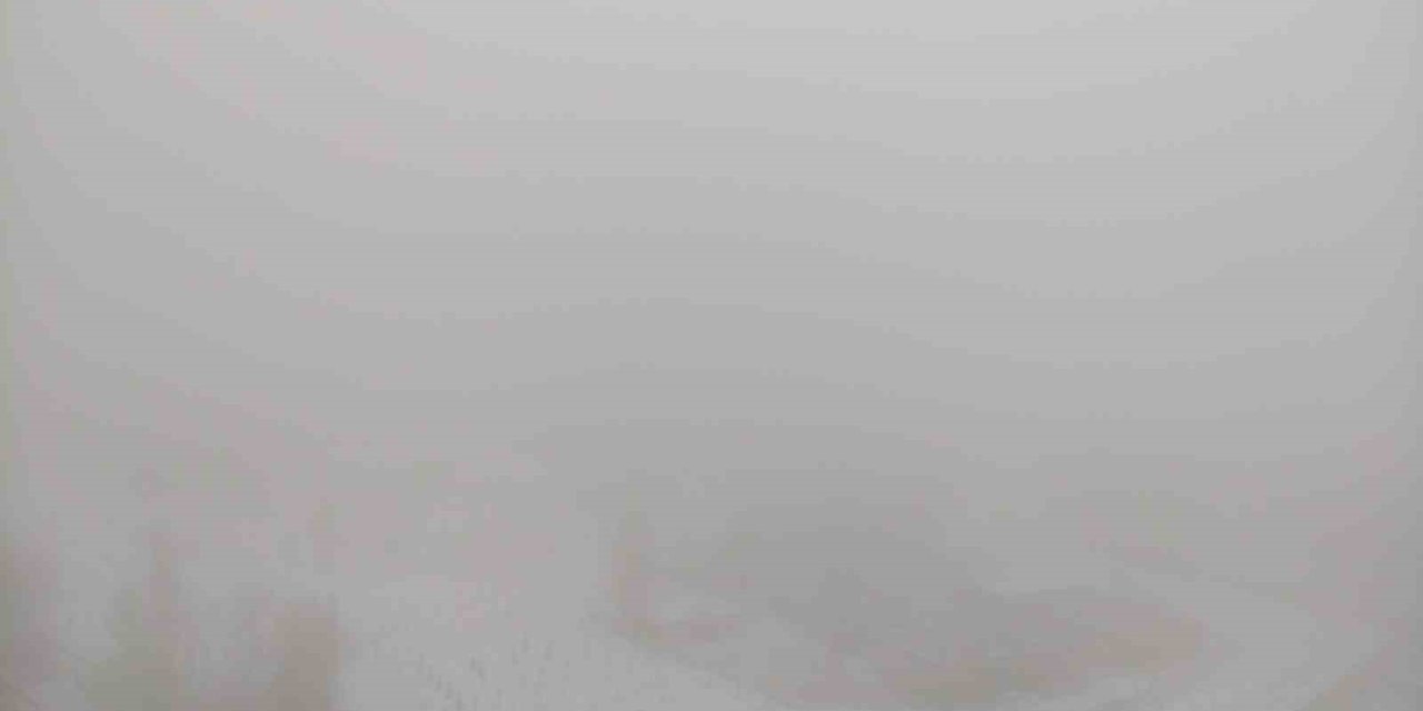 Ardahan sisle kaplandı: Göz gözü görmüyor