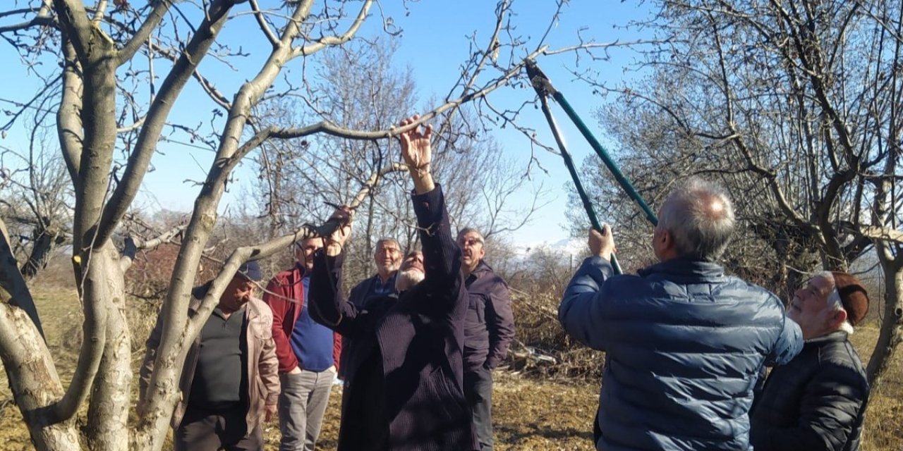 Erzincan çiftçisine ‘budama’ uyarısı