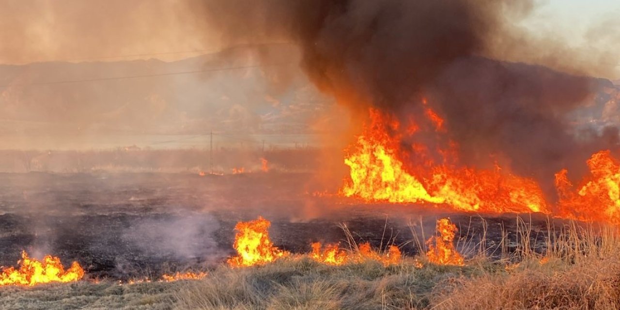 Malatya’da onlarca dönümlük alanda korkutan yangın
