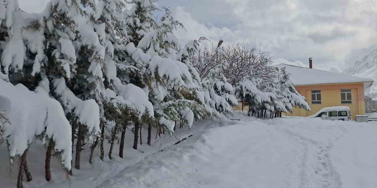 Tunceli’de kar yağışı hayatı olumsuz etkiliyor