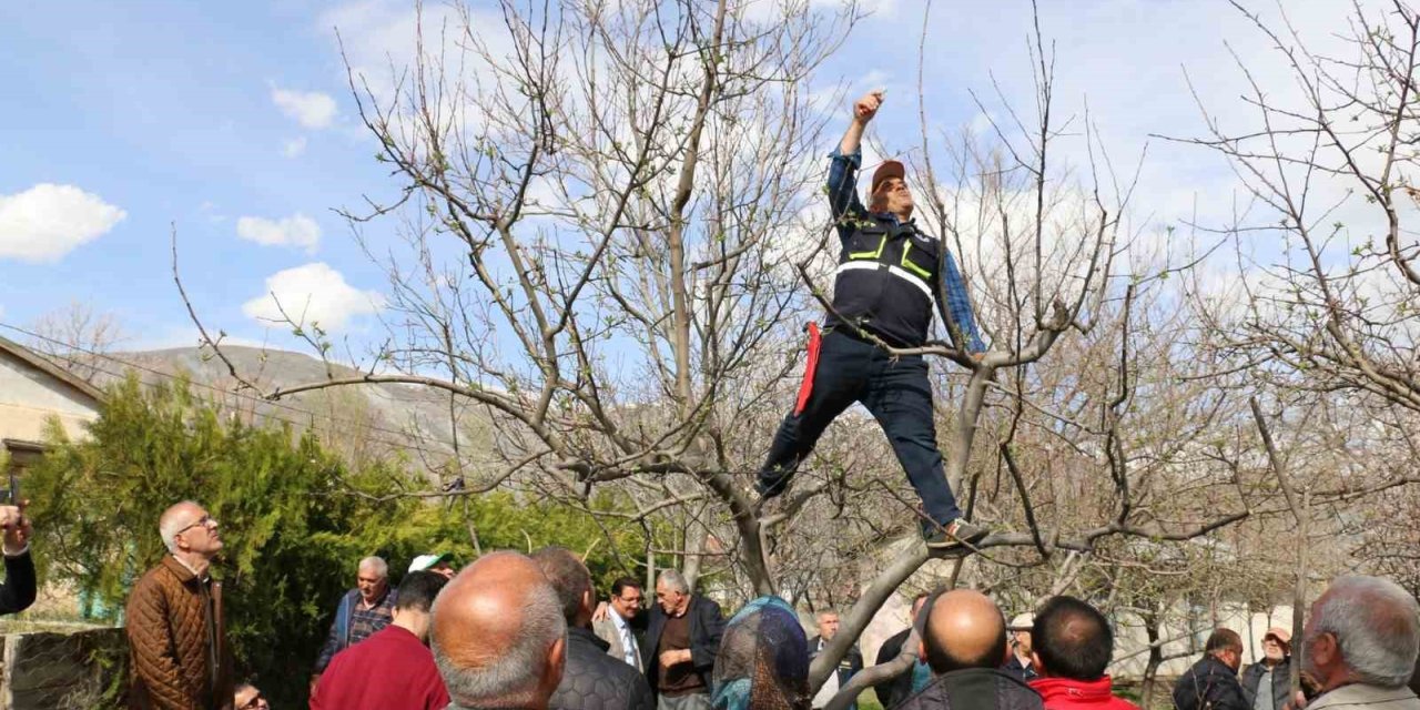 Erzincan’da budama kursuna yoğun ilgi