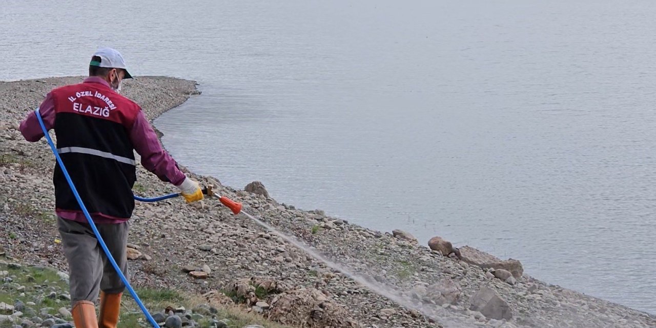 Elazığ’da larva ilaçlama çalışmaları sürüyor