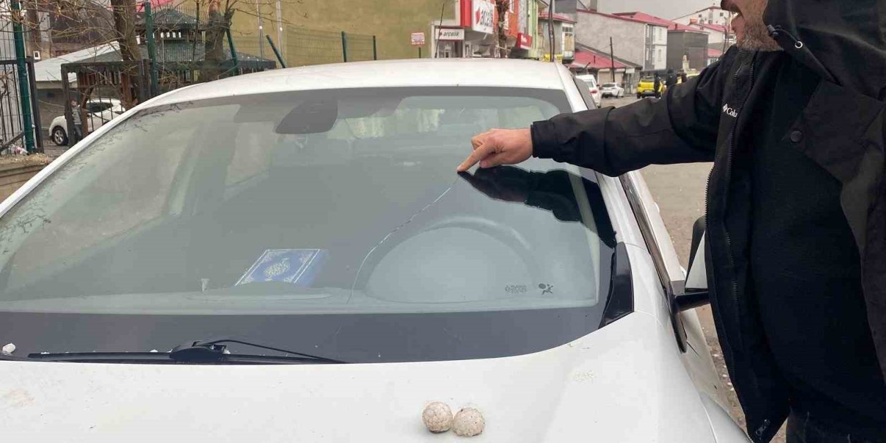 Bingöl’ü dolu vurdu, gün geceye döndü, araçların camları kırıldı