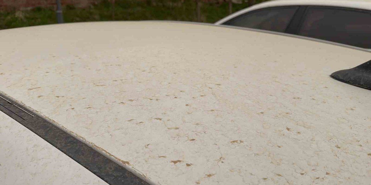 Tatvan’da araçlar çamurla kaplandı