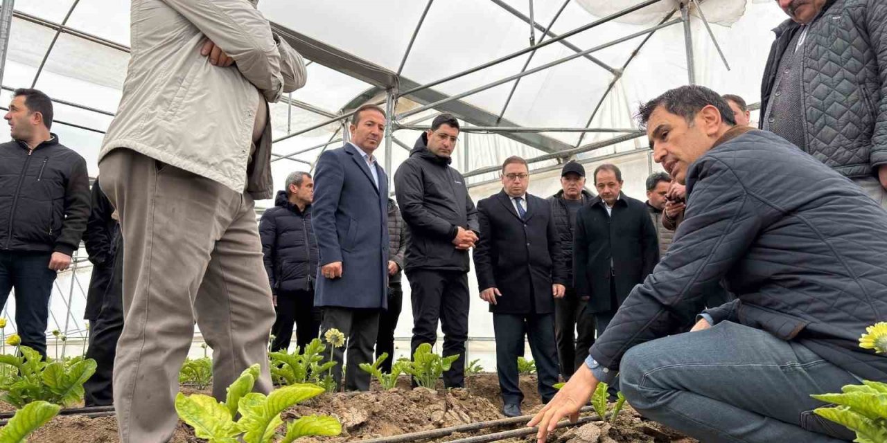 Erzincan heyeti Erbaa Kesme Çiçek Üretim Bölgesinde incelemede bulundu