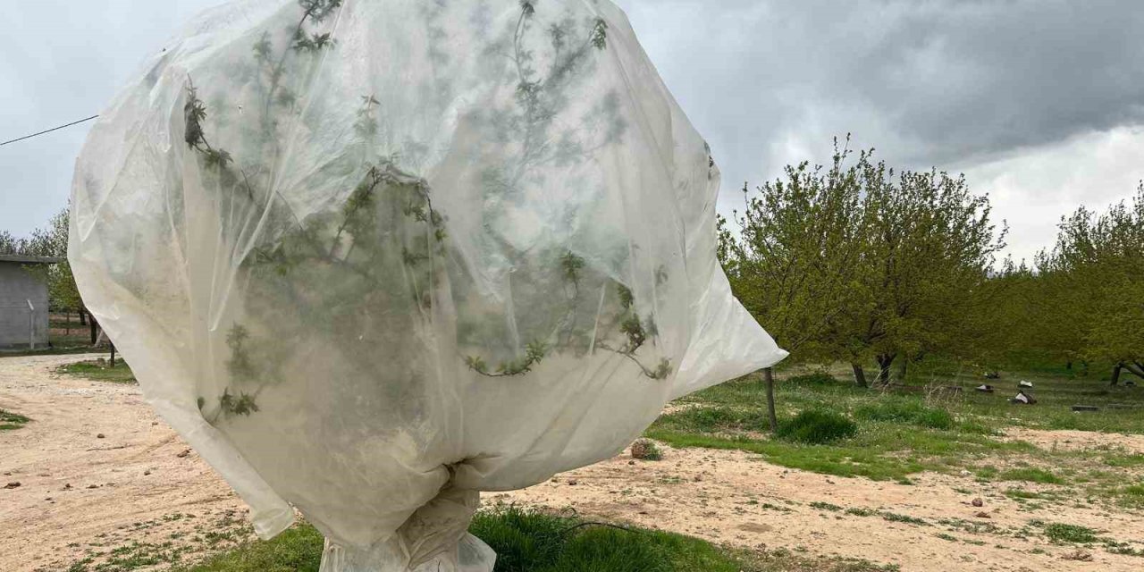Malatya’da kayısı üreticilerinden "zirai don" önlemi