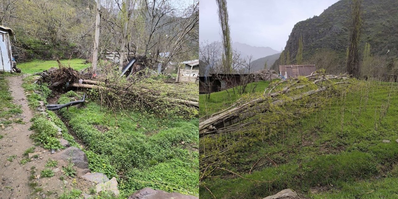 Çukurca’da şiddetli fırtına ağaçları devirdi