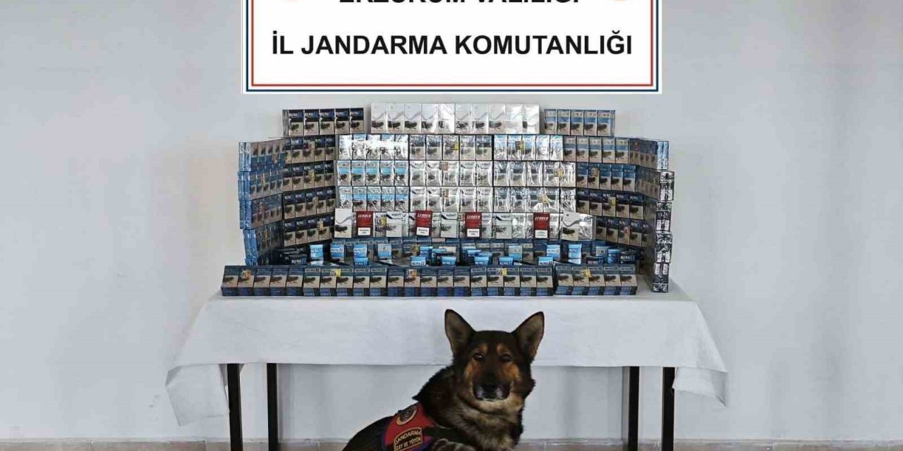Jandarmadan kaçakçılara geçit yok