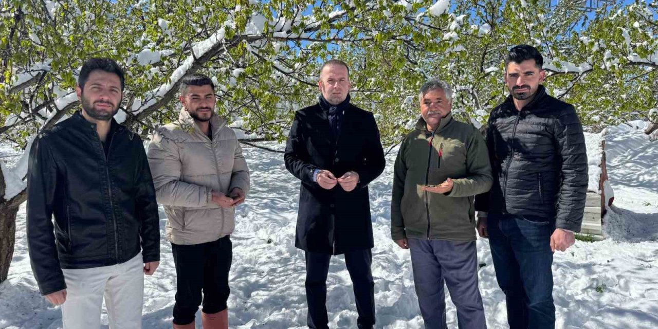 Malatya’da kayısı da don felaketi