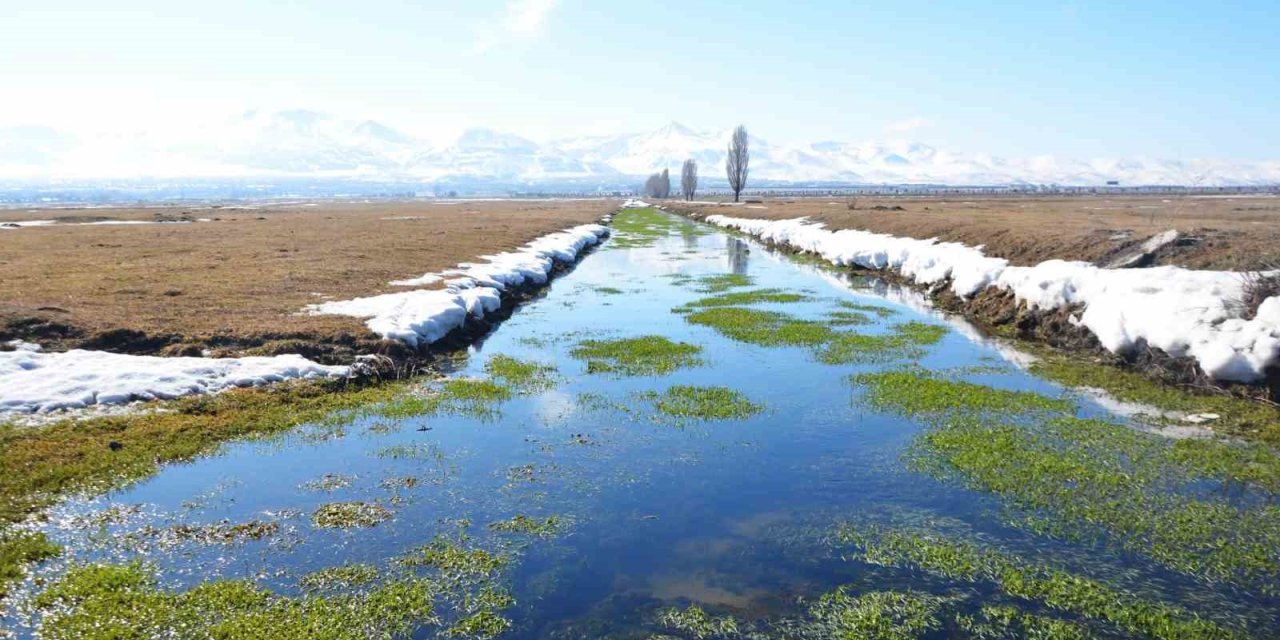 Zirai don tehlikesi sürüyor