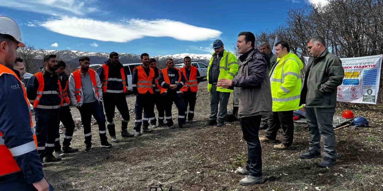 Ağaç budama çalışmaları güvenlik ve süreklilik için özenle yürütülüyor