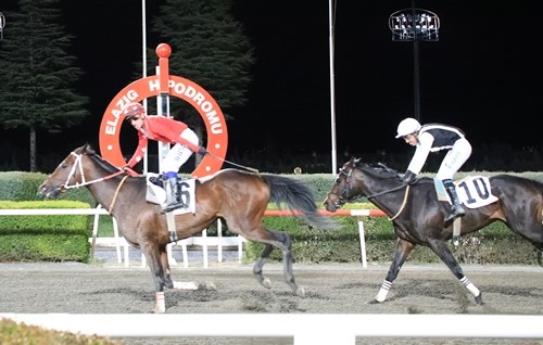 Elazığ Belediye Başkanlığı koşusunda zafer Drop’un