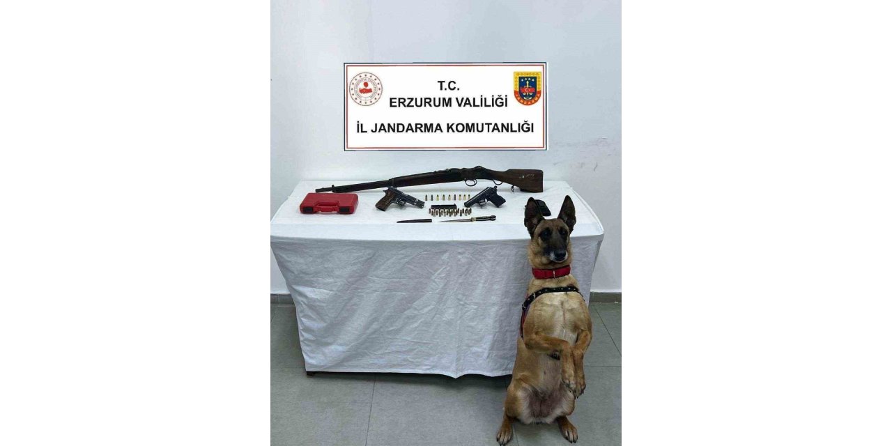 Bomba arama köpeği Yazı yine yakaladı