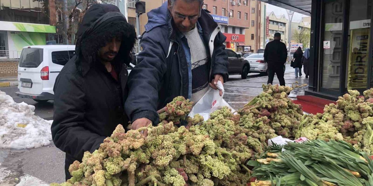 Erzincan’da ‘yayla muzunun’ destesi 100 ila 300 TL’den satışta
