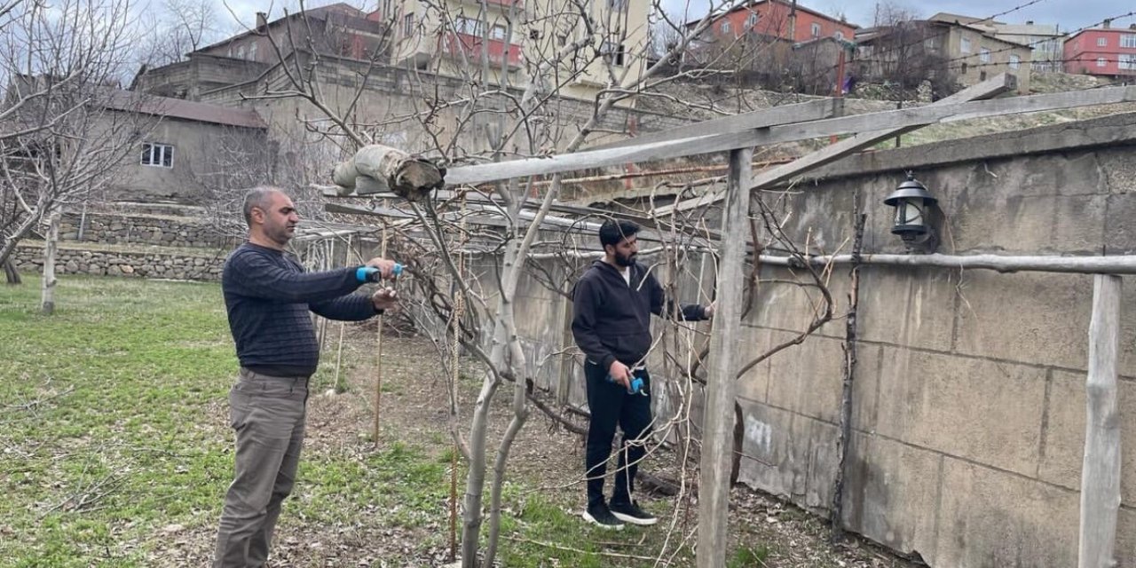 Yüksekova’da ağaçlar budandı, uygulamalı eğitim verildi