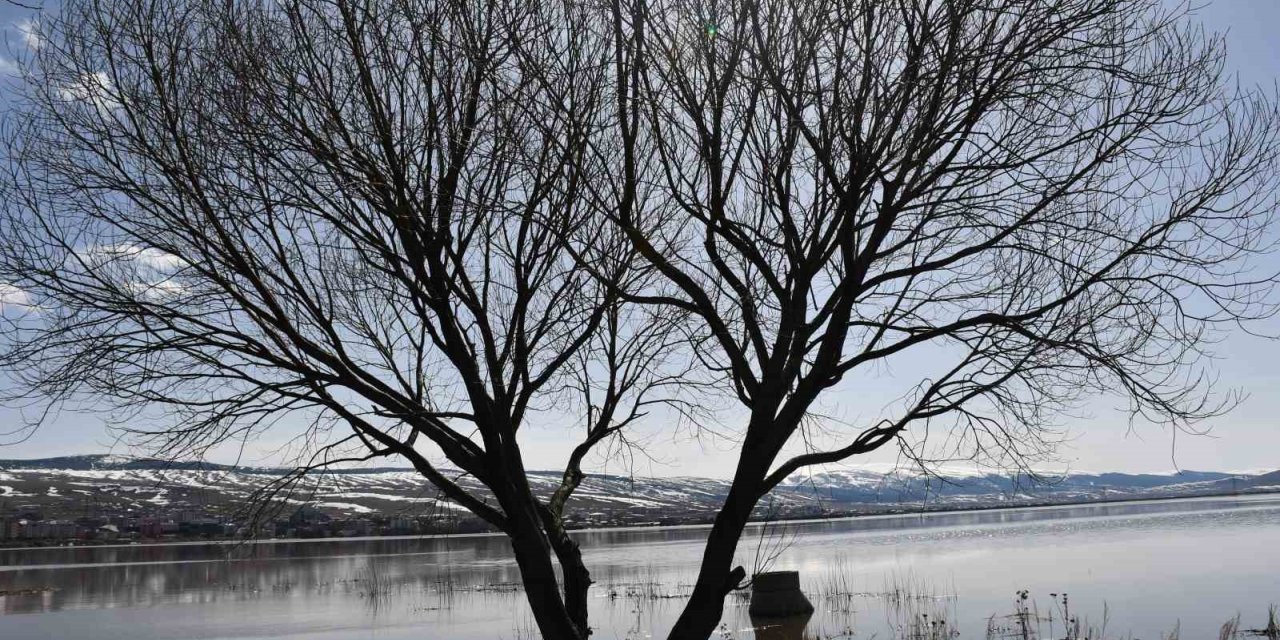 Ardahan ovası nehrin taşmasıyla yeniden sular altında kaldı