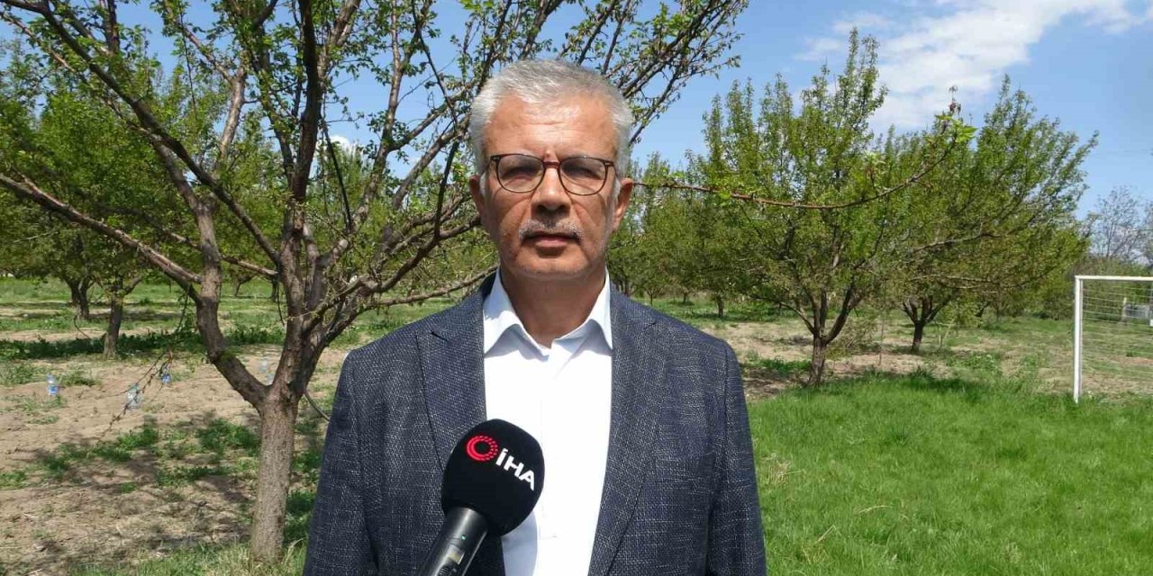 Malatya’da yüzyılın en büyük zirai ürün kaybı