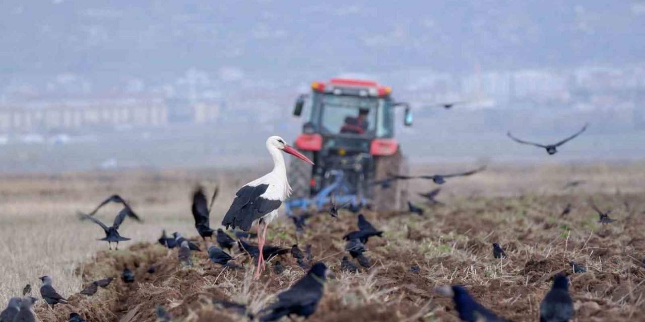 Erzurum’da traktör sayısı 22 bini geçti