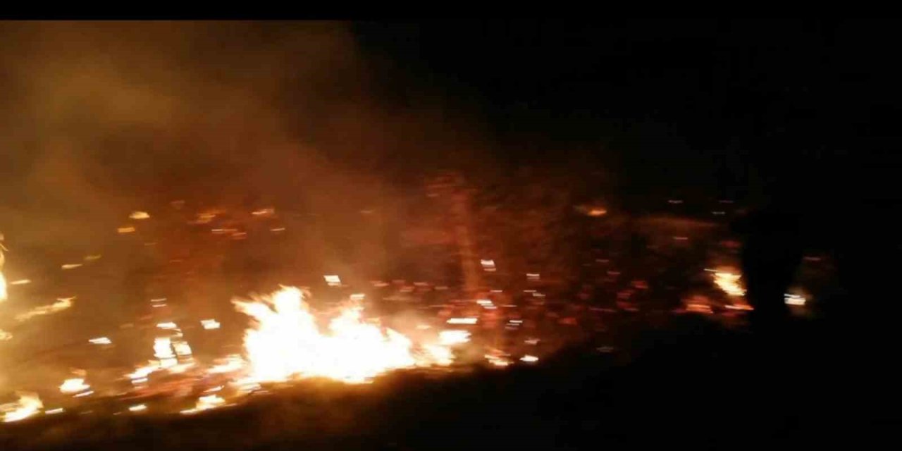 Malatya’da sazlık yangını