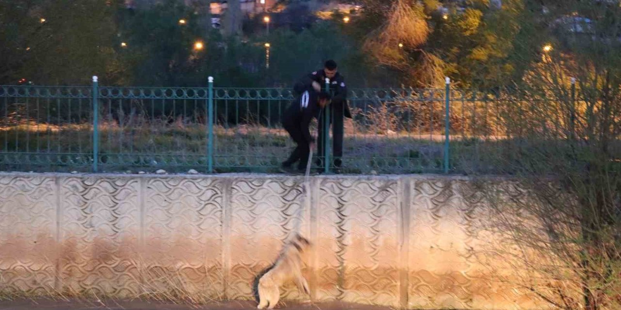 Erzurum’da sokak köpeğine kurtarma operasyonu