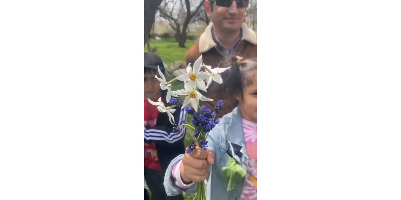 Doğaseverler zerrinkadeh çiçeğine dikkat çekmek için yürüdü