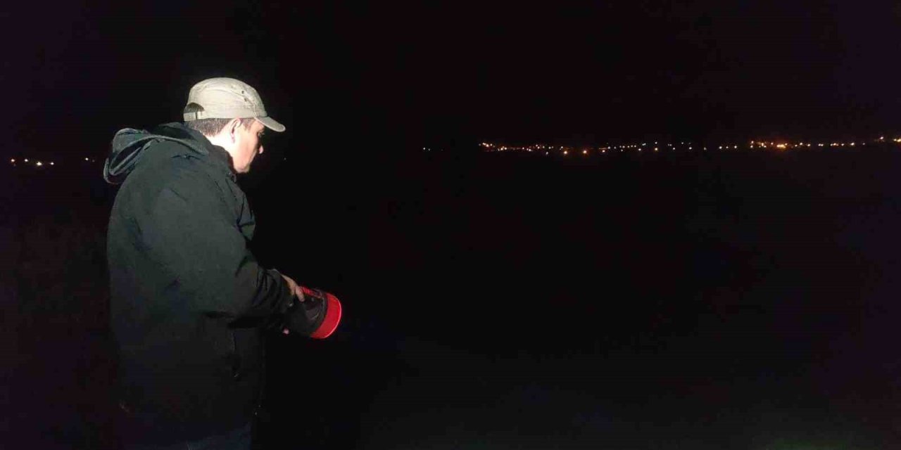 İnci kefalinin tatlı sulara göçü başladı