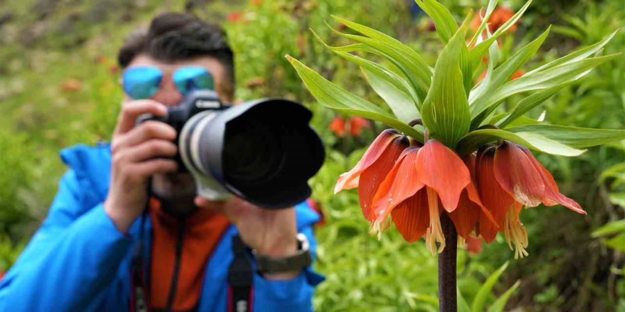 Ters laleleri görmek için 500 kilometre yol geldiler ama dokunamadılar