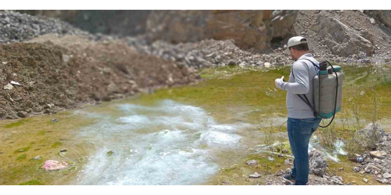 Hakkari’de yaz öncesi larva seferberliği
