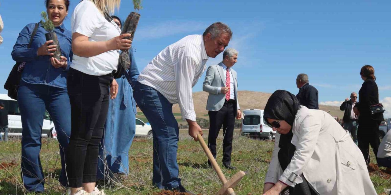 Elazığ’da ‘Aile Yılı hatıra ormanı’ oluşturuldu