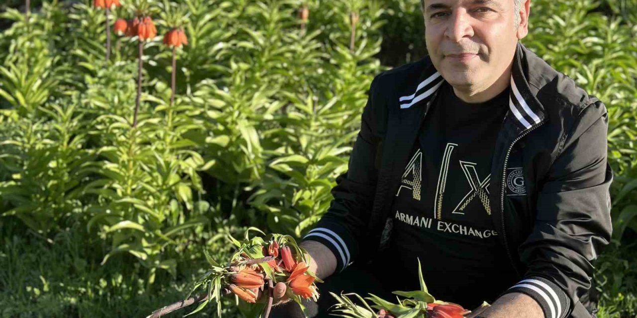 20 günlük ömrü olan ters lalelere zarar verildi